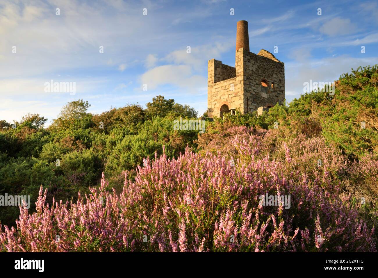 An engine house at Wheal Peevor near Redruth in Cornwall. Stock Photo