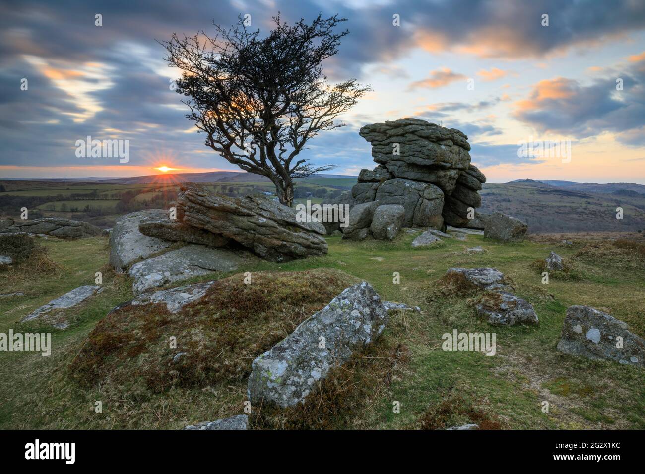 The photograph features the setting sun behind a lone hawthorn tree at Emsworthy Rocks, near Saddle Tor in the Dartmoor National Park in Devon. Stock Photo