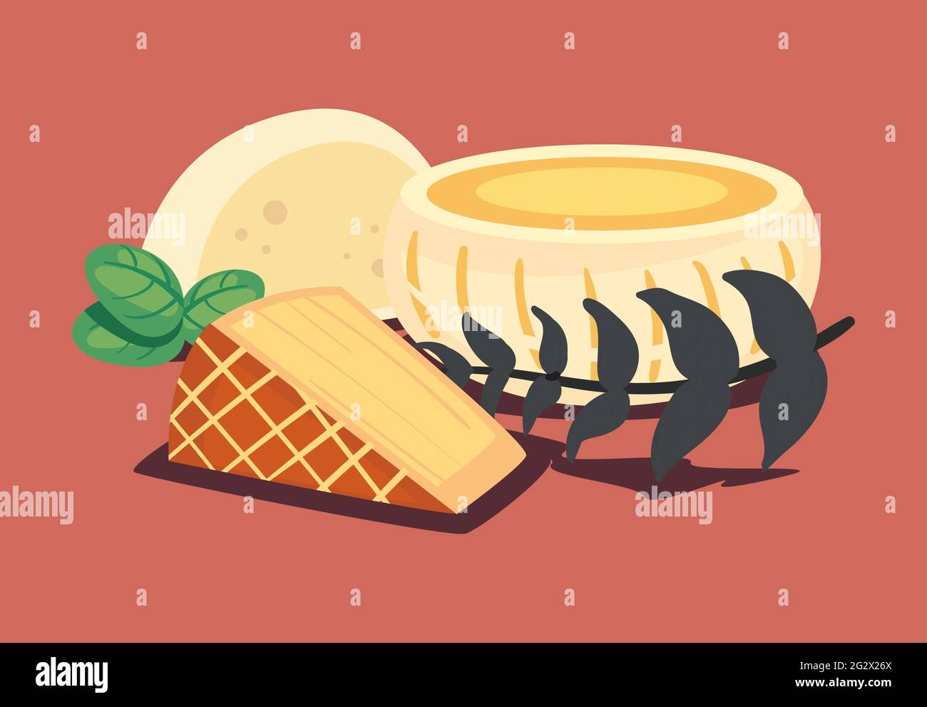 Cheese Types Vector Filetta Stock Vector Images - Alamy