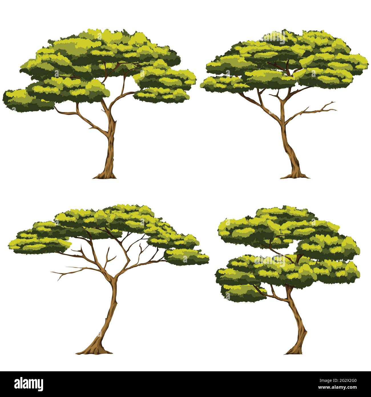 Set vector illustration Of four trees It is a type of tree that grows