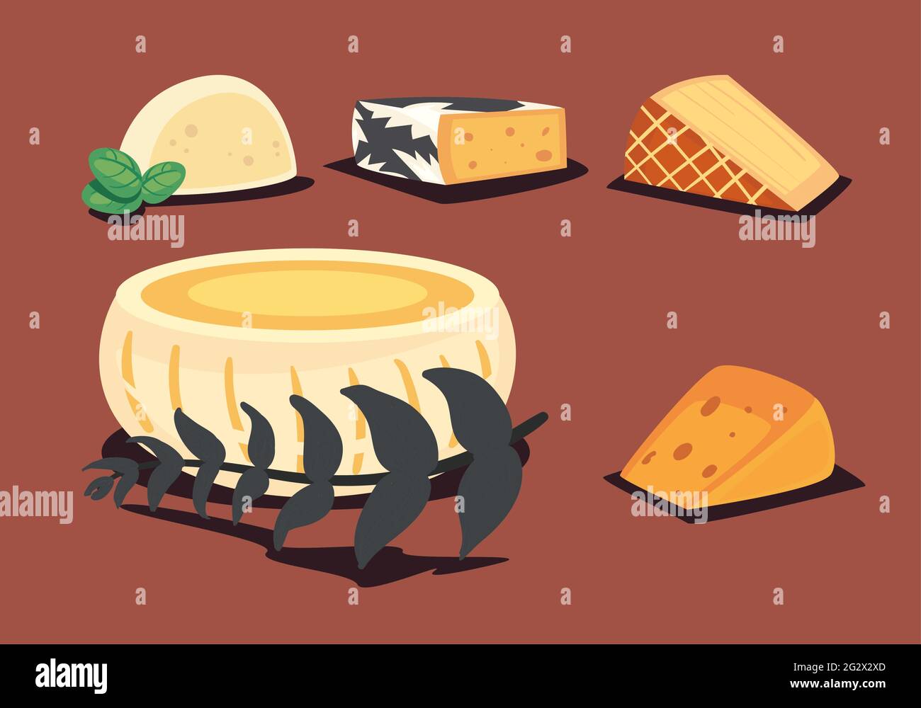 Cheese Types Vector collection of delicious cheeses types Stock Vector Image & Art - Alamy