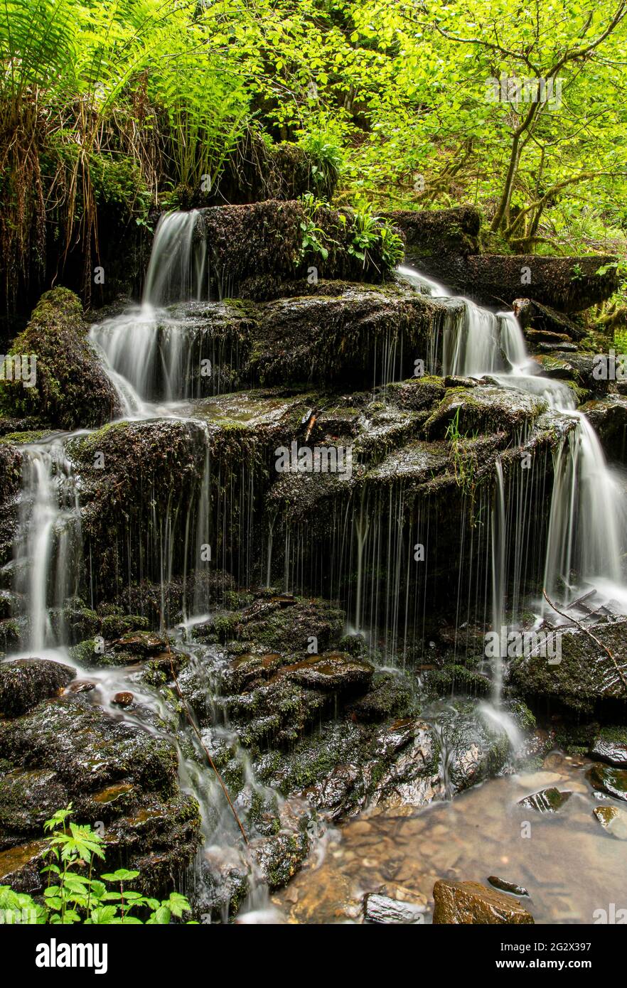 Photography of waterfall in forest, Aberfeldy, Scotland Stock Photo