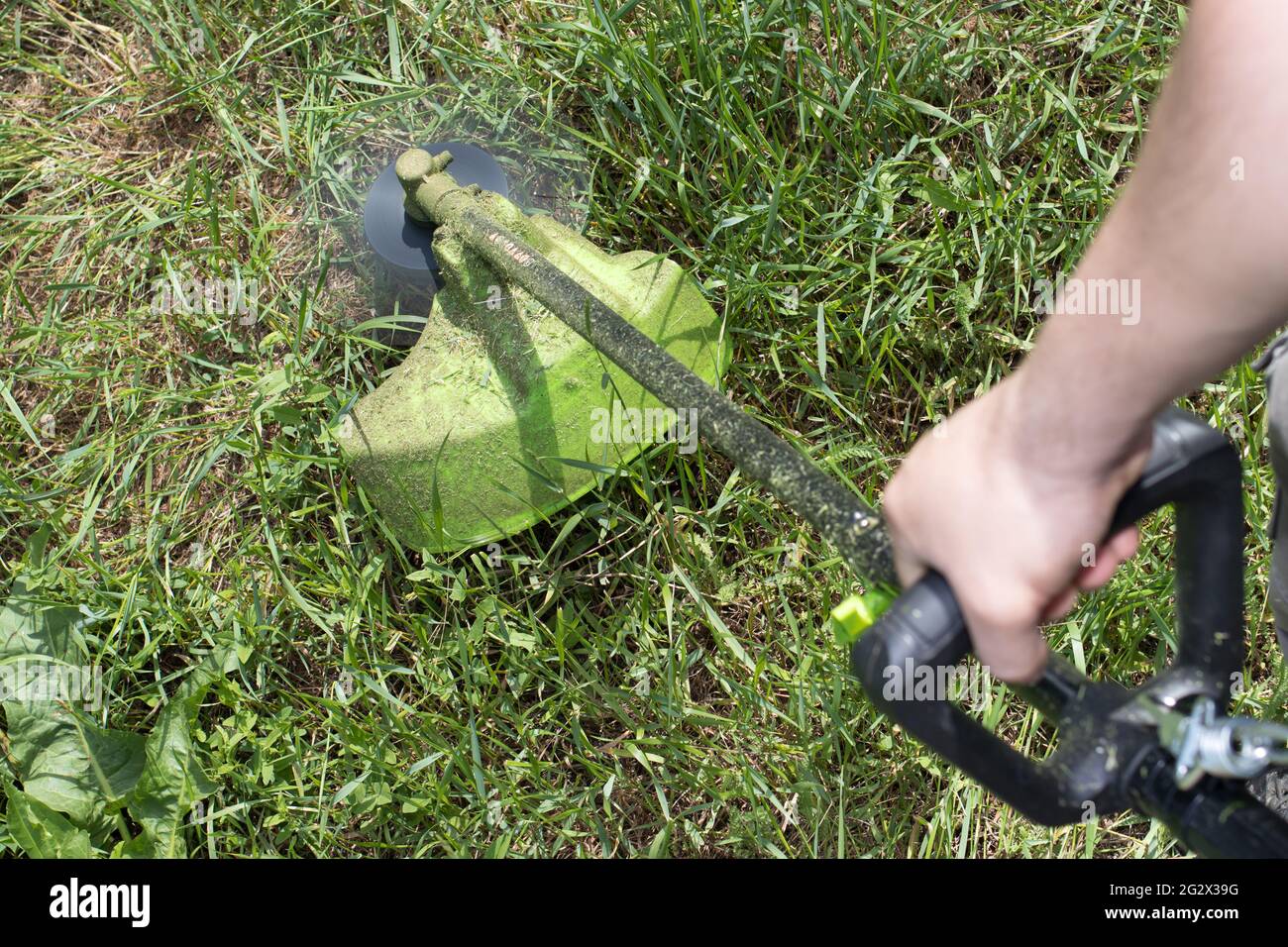 A man with an electric lawn mower mows the grass. For a gardening equipment store. Stock Photo