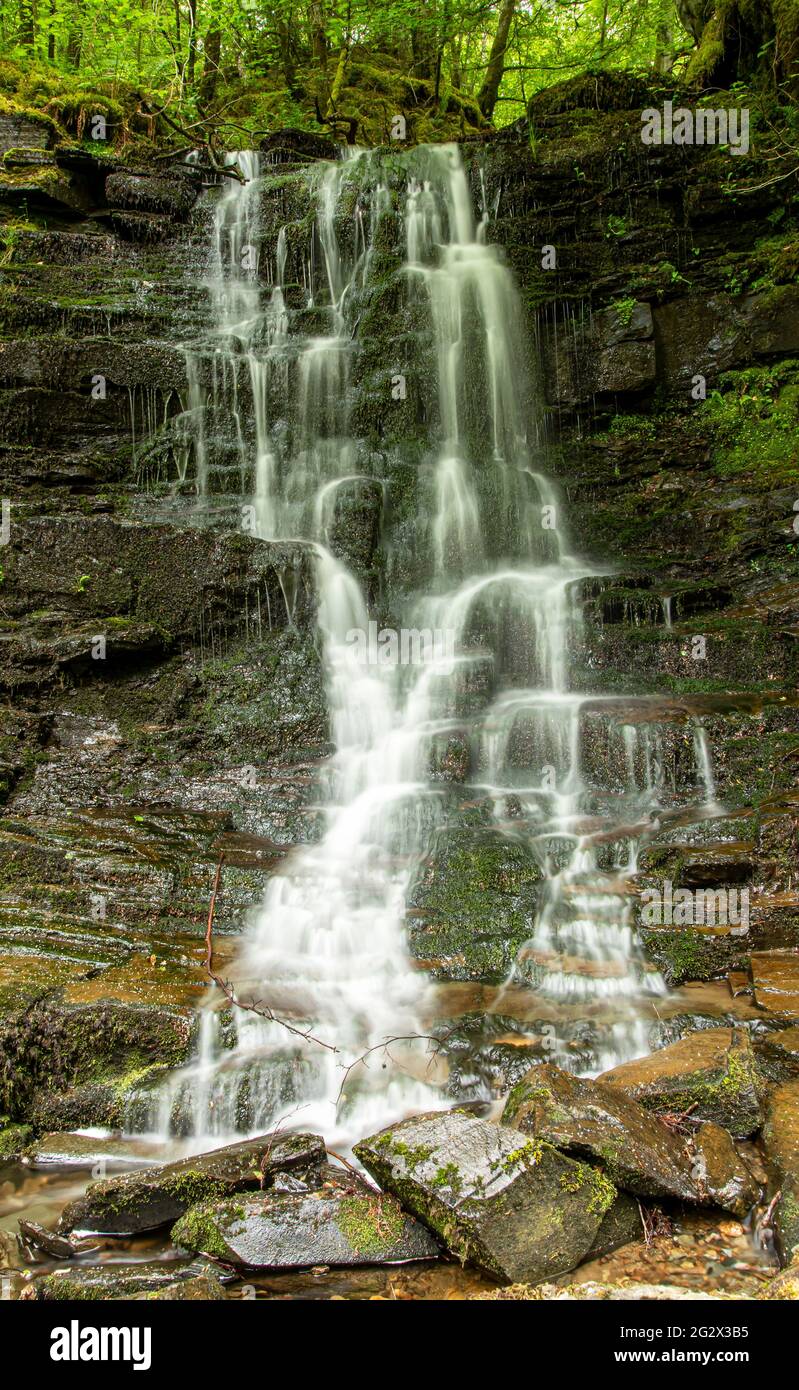 Photography of waterfall in forest, Aberfeldy, Scotland Stock Photo