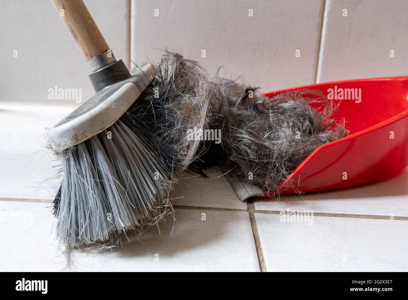 Brush broom with dustpan cleaning human hair Stock Photo Alamy