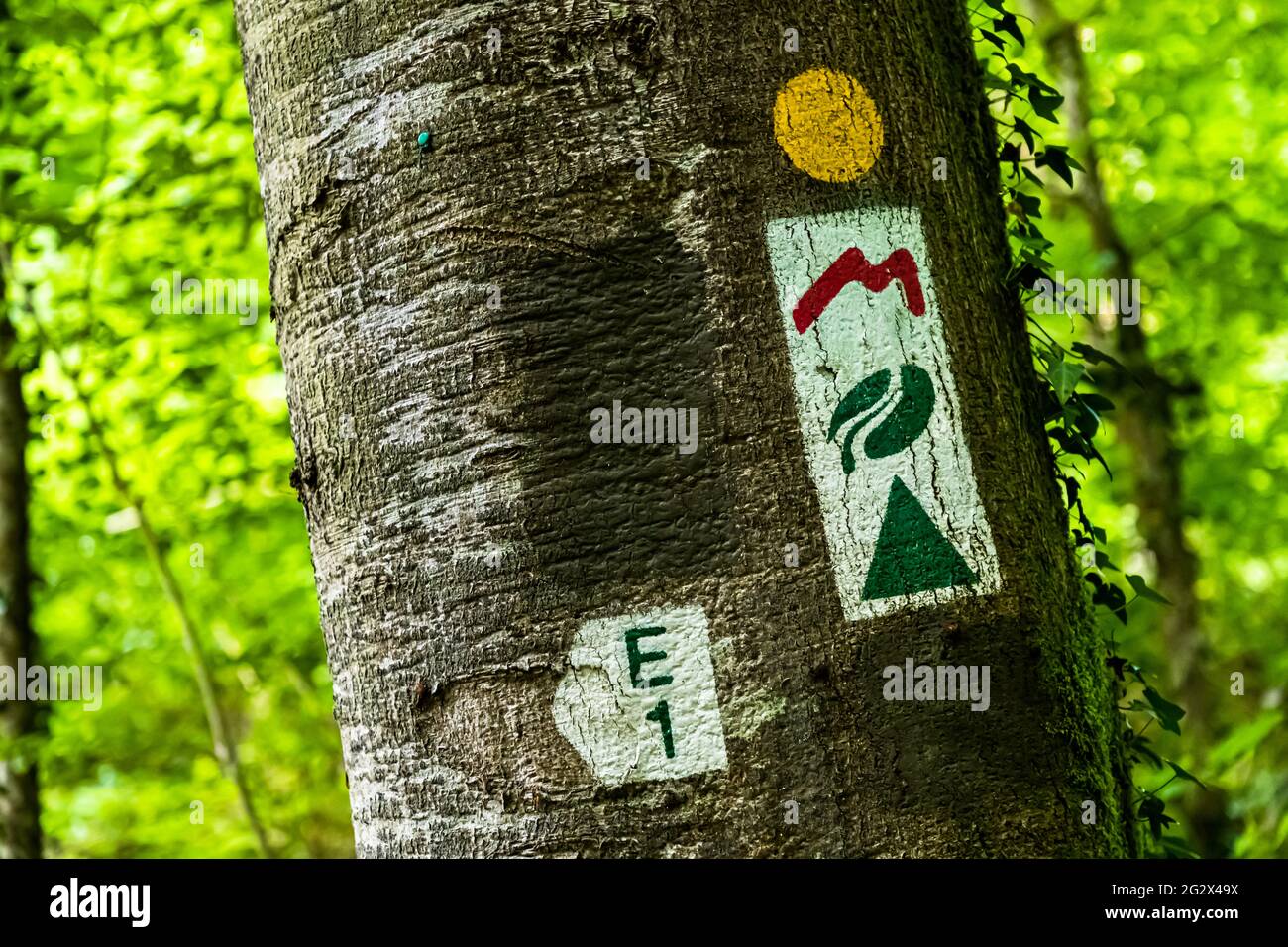 Marked hiking trails in Luxembourg Stock Photo