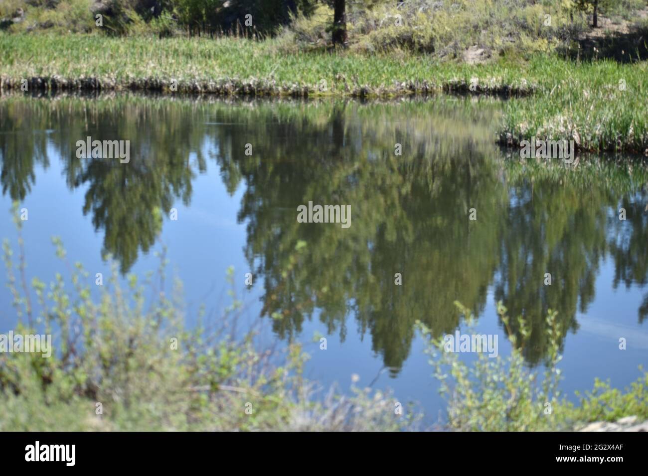 Truckee lake hires stock photography and images Alamy