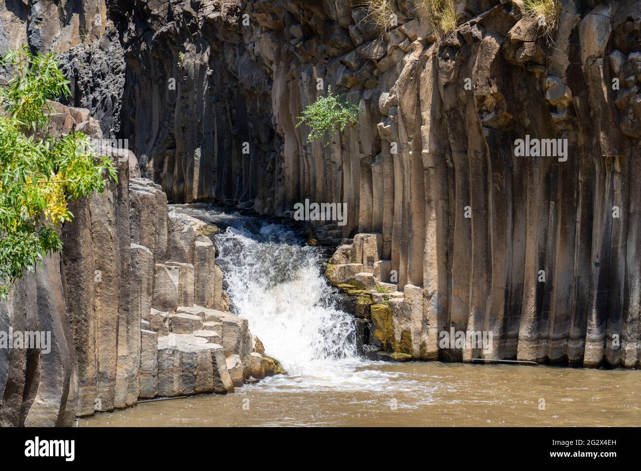 Israel, Golan Heights, Yehudiya Forest Nature Reserve Meshushim Pool ...