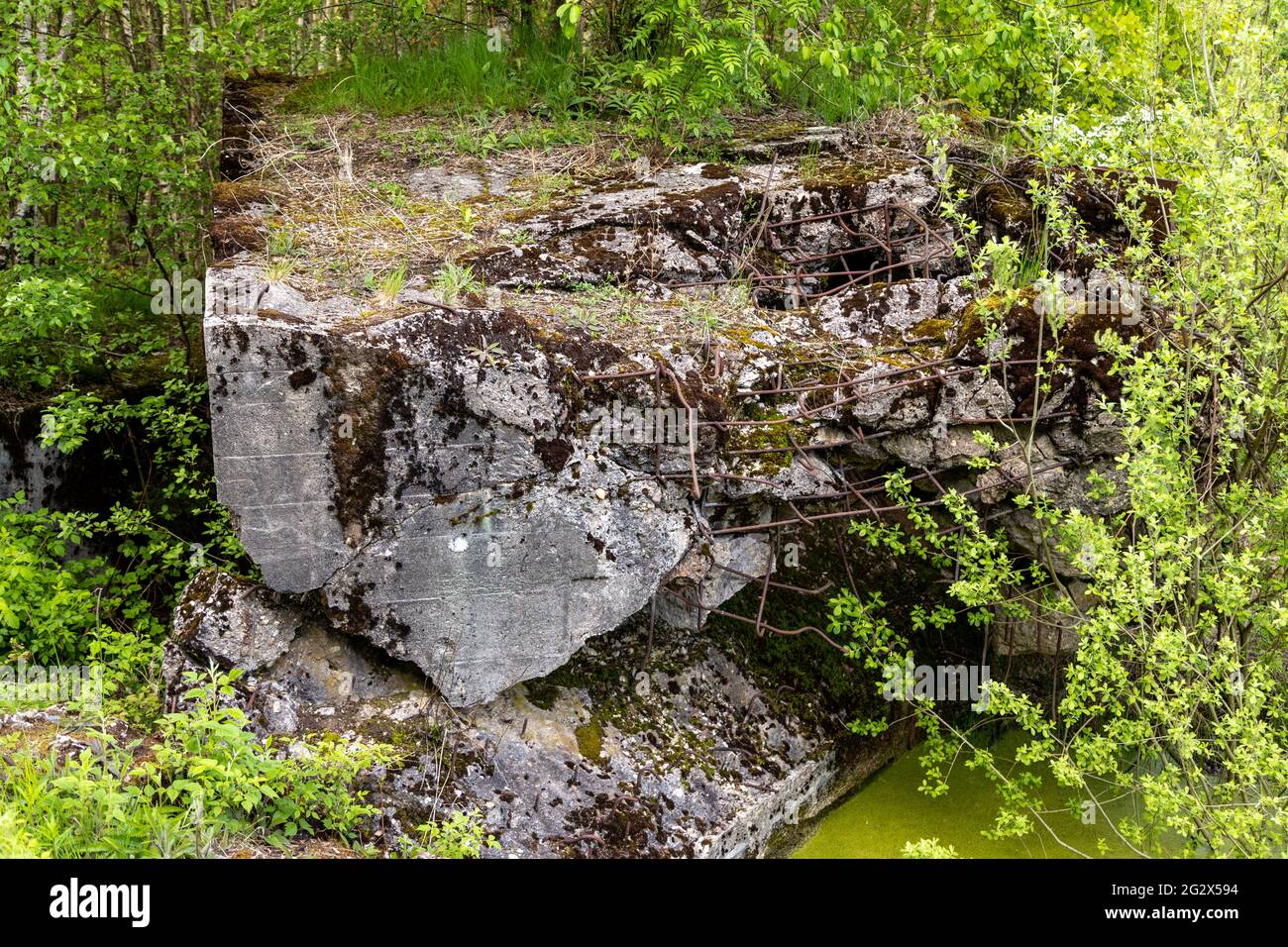 Bunker ruin and green pond in the Todtenbruch Moor in the Raffelsbrand region in the Eifel region, Germany Stock Photo