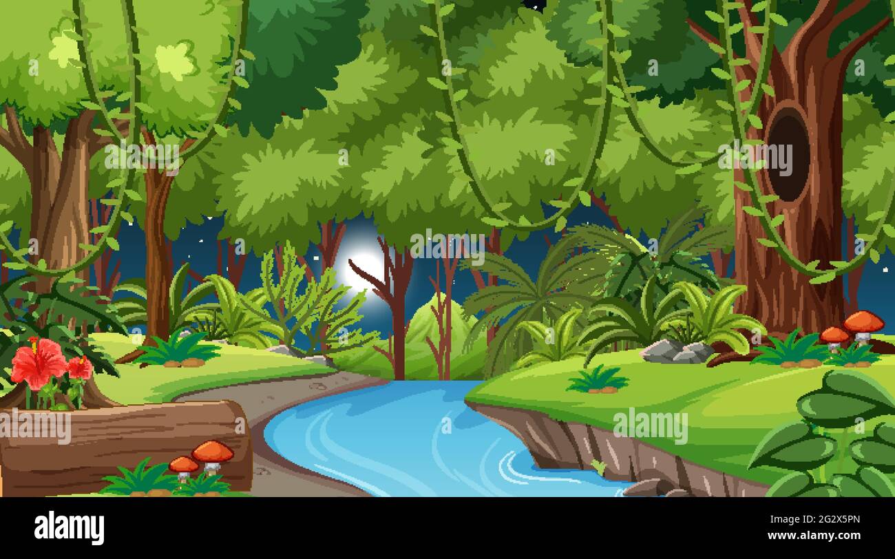 Forest at night landscape scene illustration Stock Vector Image & Art ...