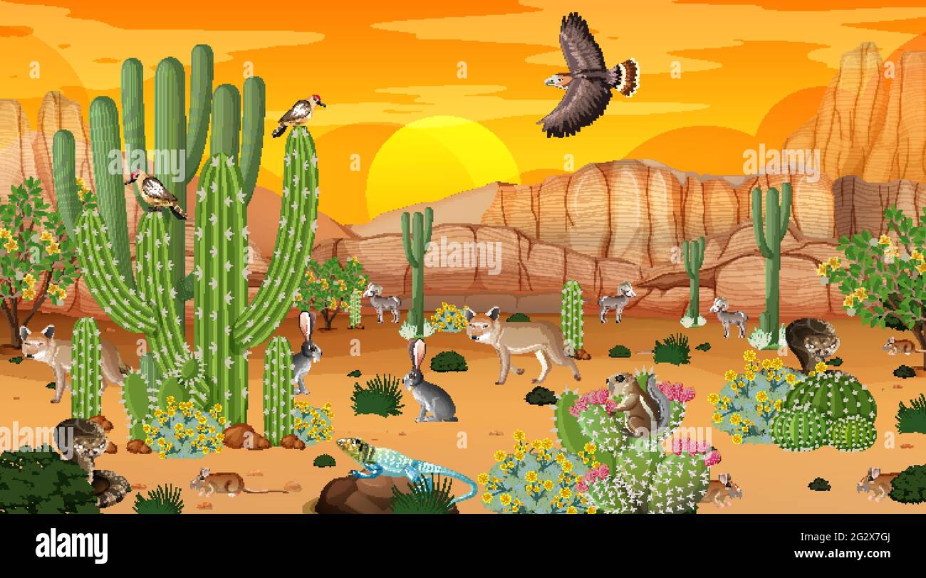 Desert forest landscape at sunset time scene with wild animals ...