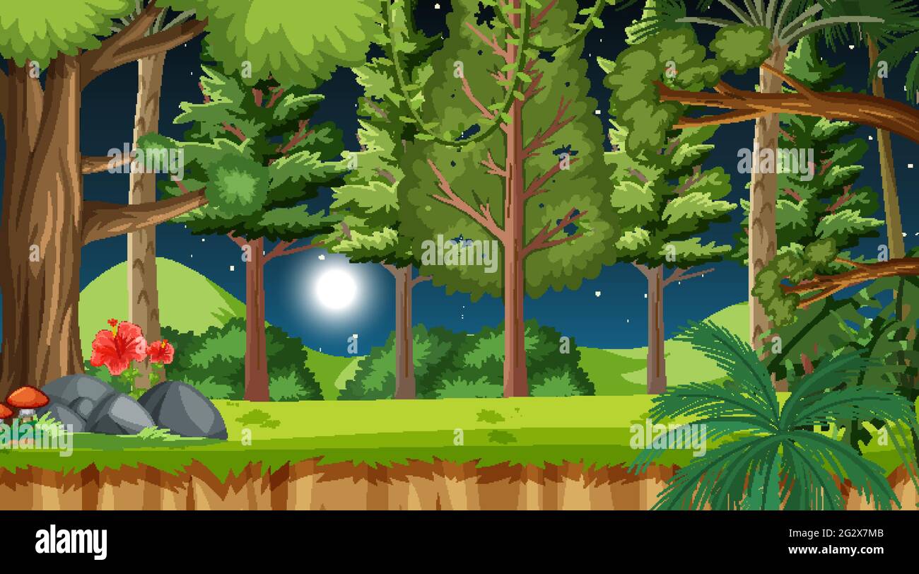 Nature forest at night scene with many trees illustration Stock Vector ...