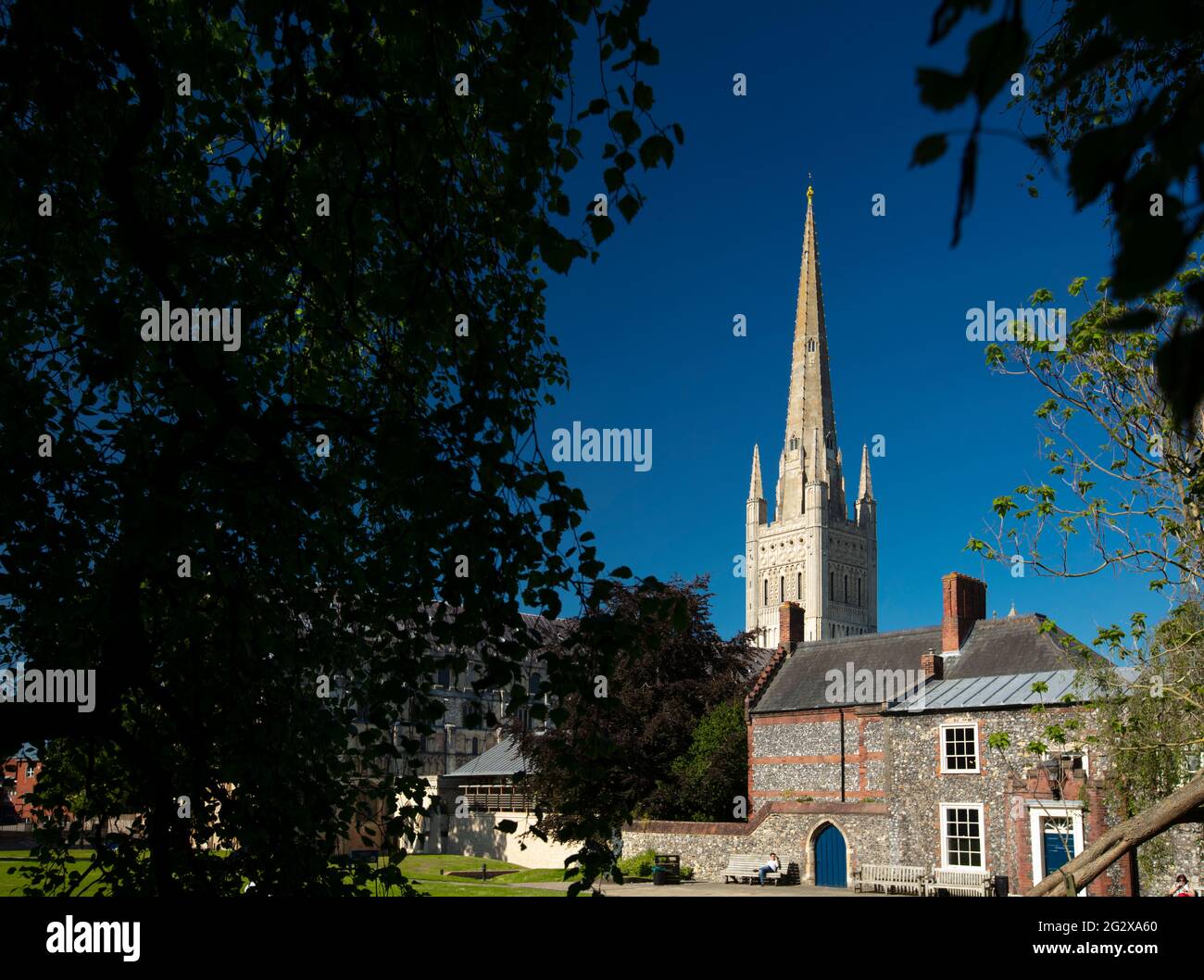 Norwich, Norfolk, UK, June 2021, a view of Norwich Cathedral from The Close Stock Photo