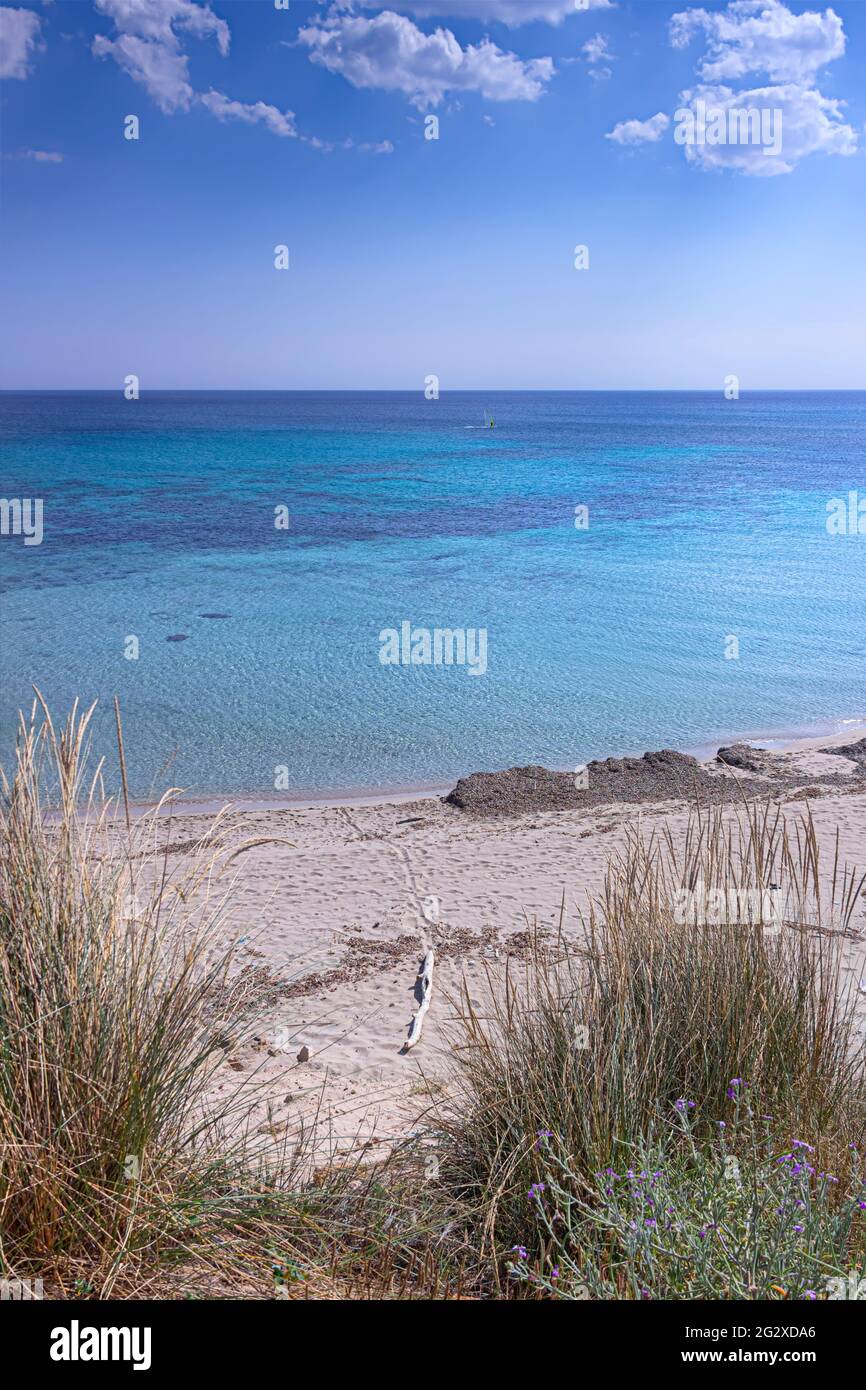 The most beautiful sandy beaches of Apulia (Italy): Pescoluse, the Maldives of Salento. In the background the marine of Torre Vado. Stock Photo