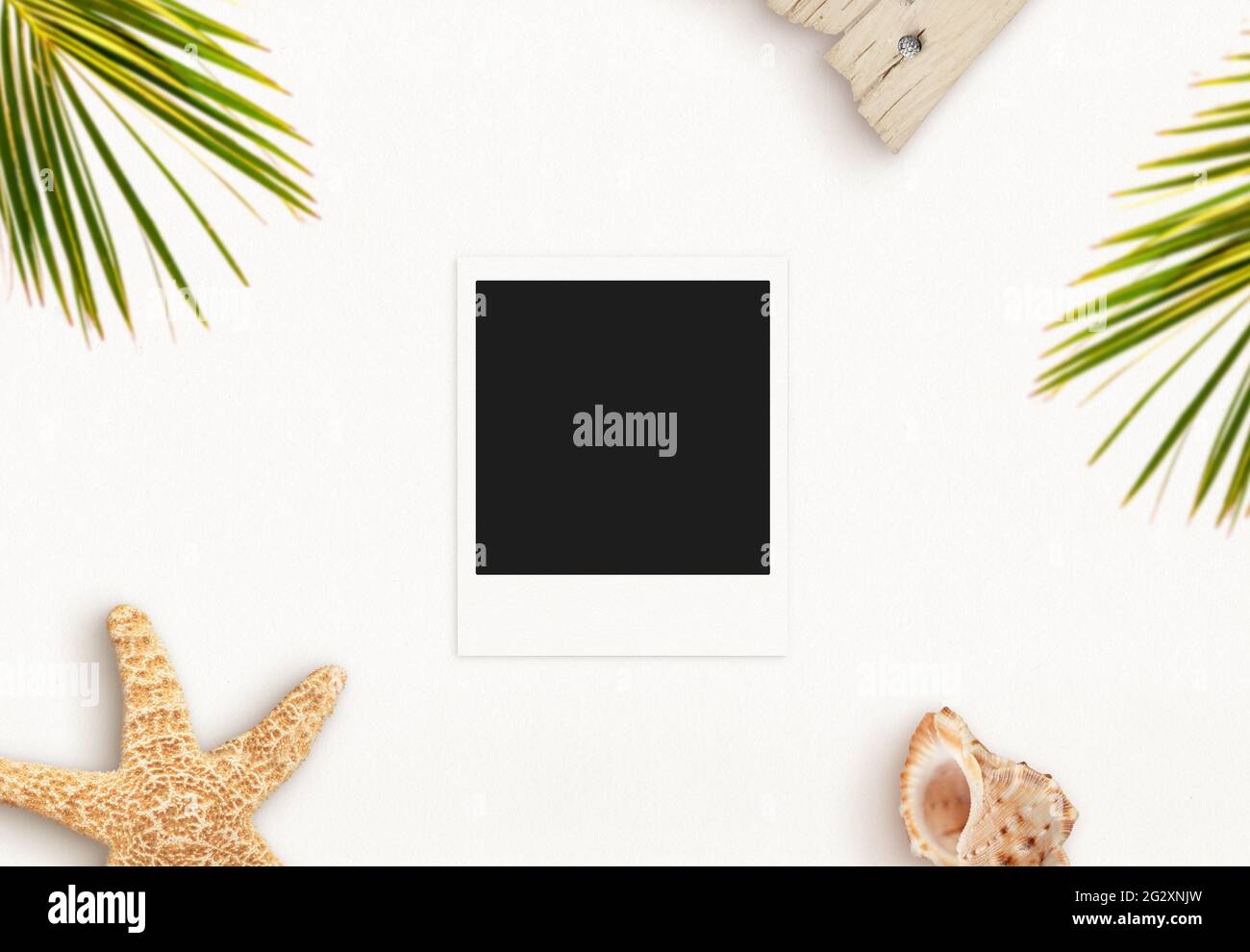 Photo paper on desk surrounded with summer, travel objects. Blank paper for mockup, vacation memories presentation. Palm leaves, starfish and shell. T Stock Photo