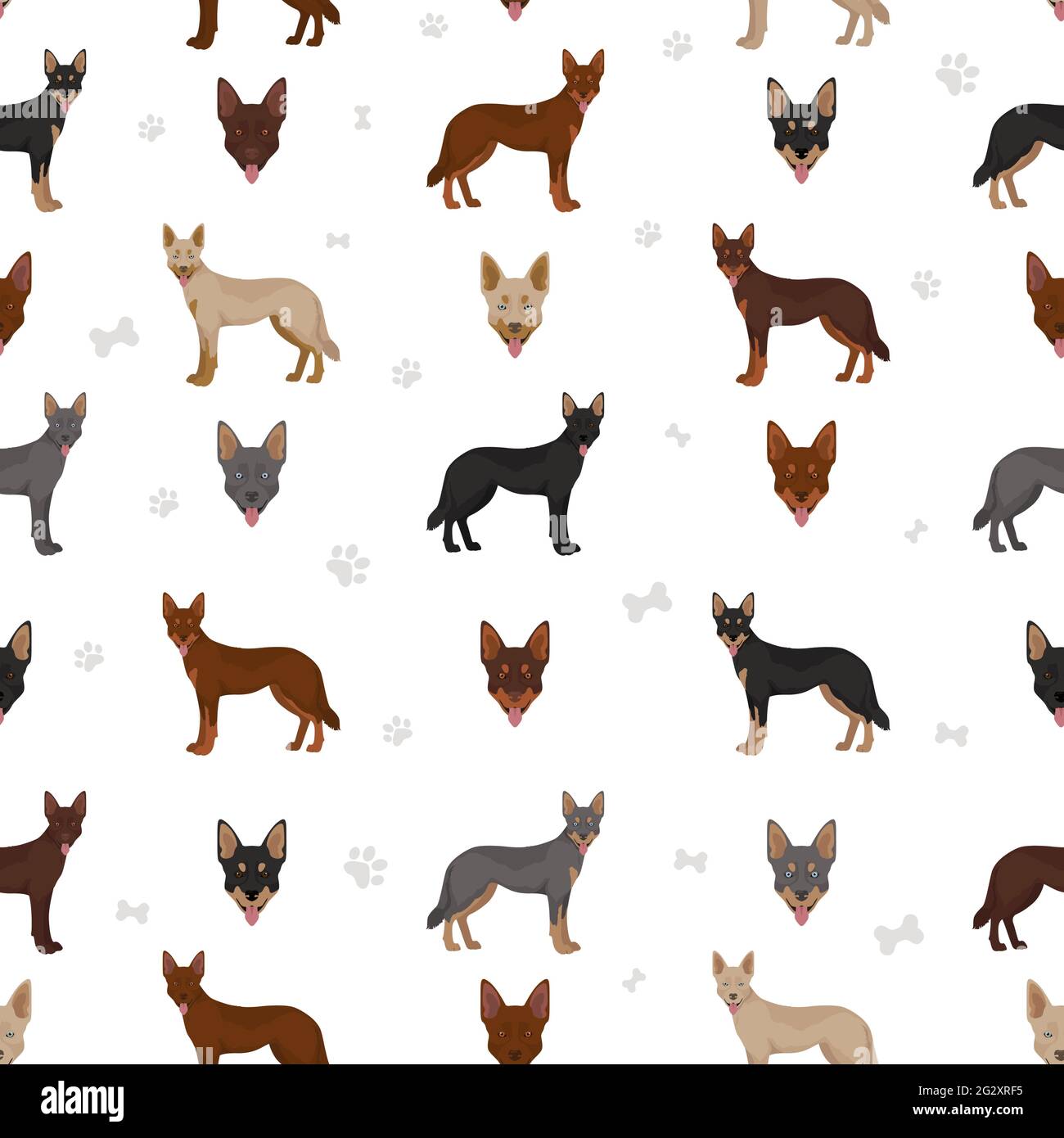 Australian kelpie all colours clipart. Different coat colors and poses seamless pattern.  Vector illustration Stock Vector