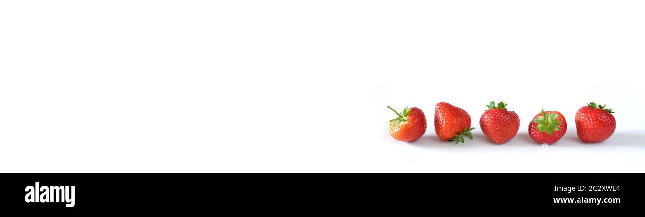 fresh strawberries in a row on white background,panoramic food mock up,good copy space Stock Photo