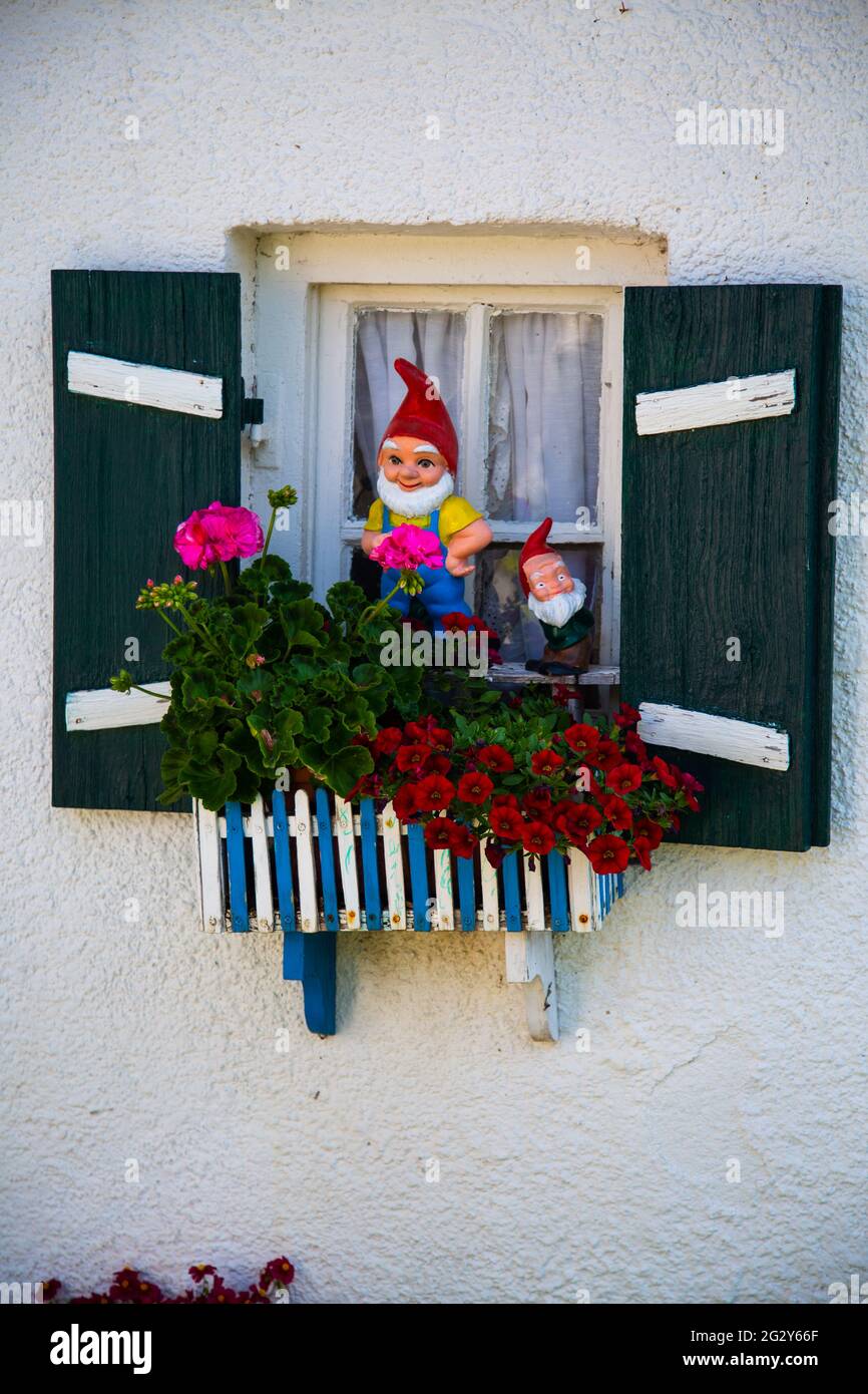 Garden gnome at the window, funny garden gnome Stock Photo