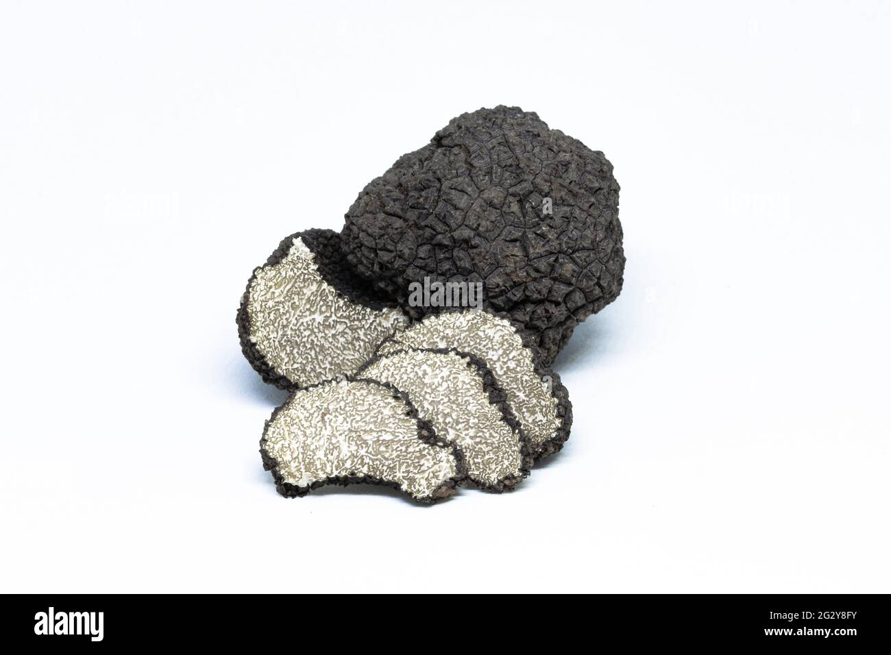 black truffle, tuber aestivum, cut, slice, open, photographed on a white background Stock Photo