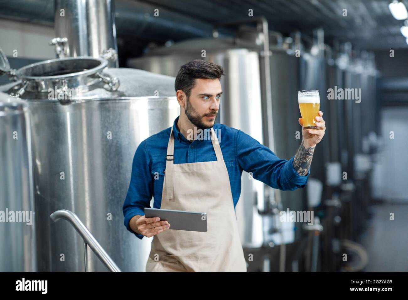Brewery worker look at freshly made beer in glass Stock Photo Alamy
