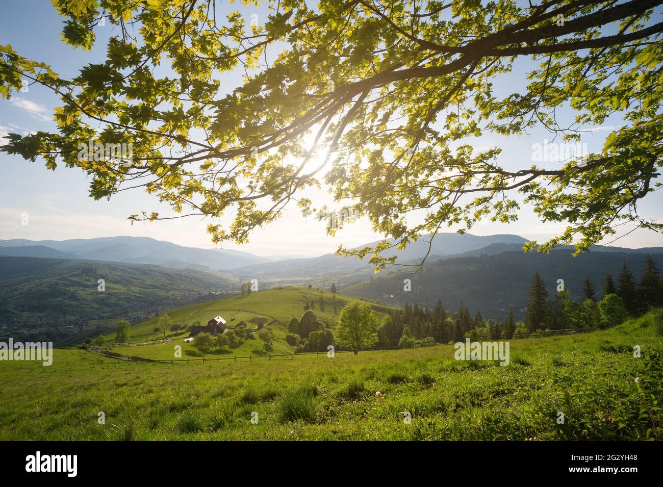 Park summer sun tree mountain hi-res stock photography and images - Alamy