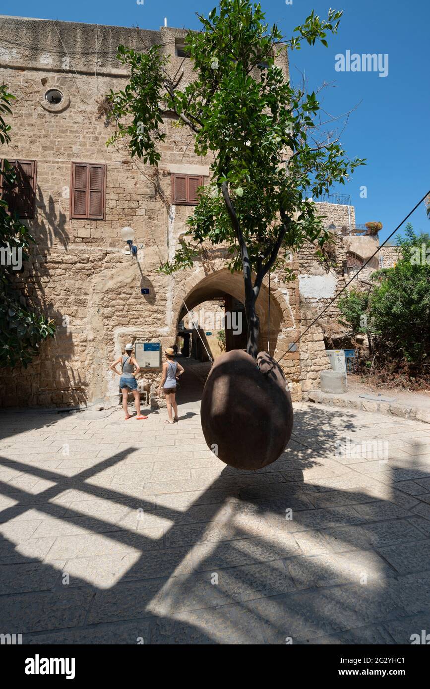 Floating Orange Tree by Israeli artist Ran Morin:  tree is growing out of the pitcher is levitating in the courtyard at old city Jaffa. Tel Aviv. Stock Photo