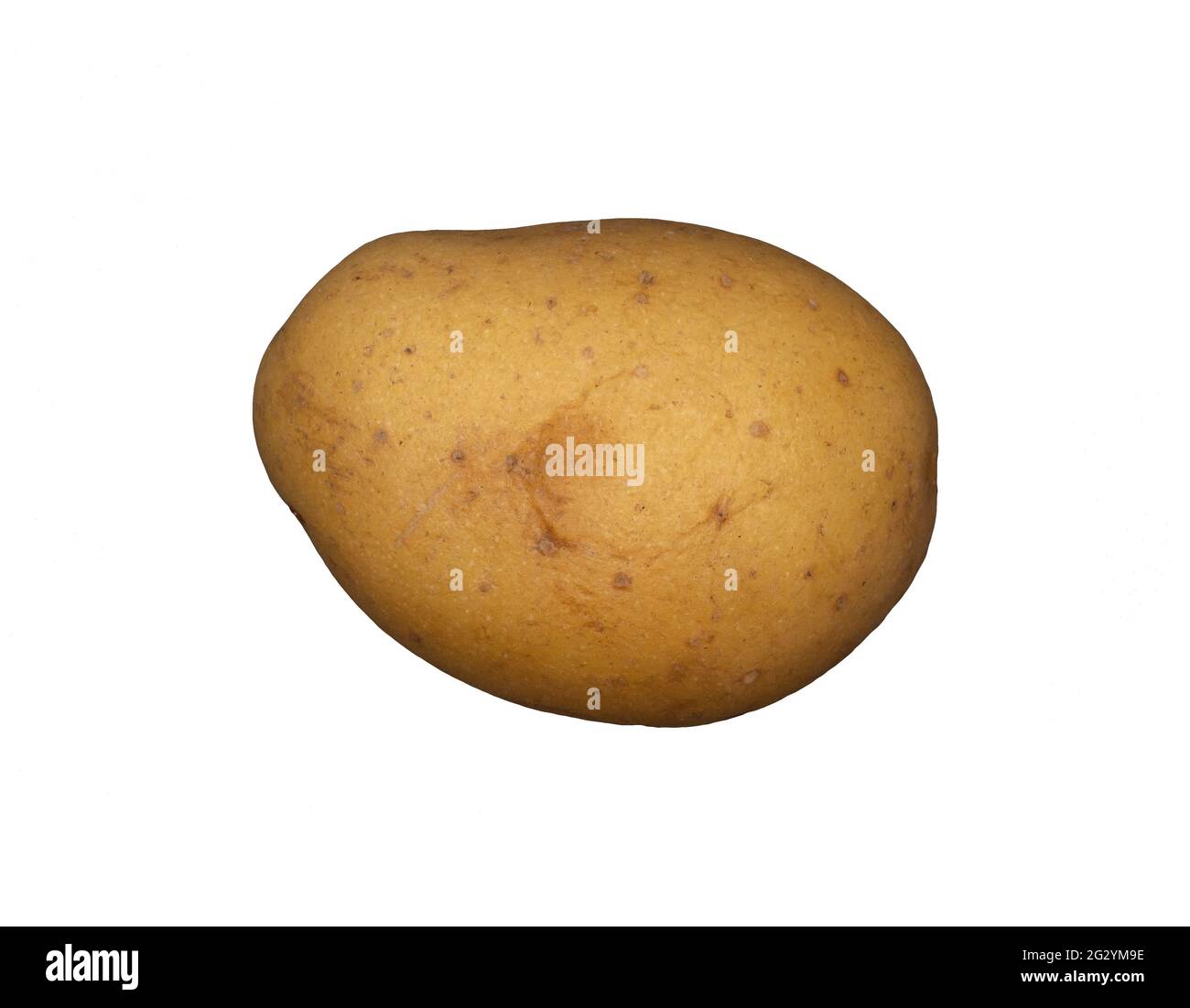 A white potato on a plain white background Stock Photo