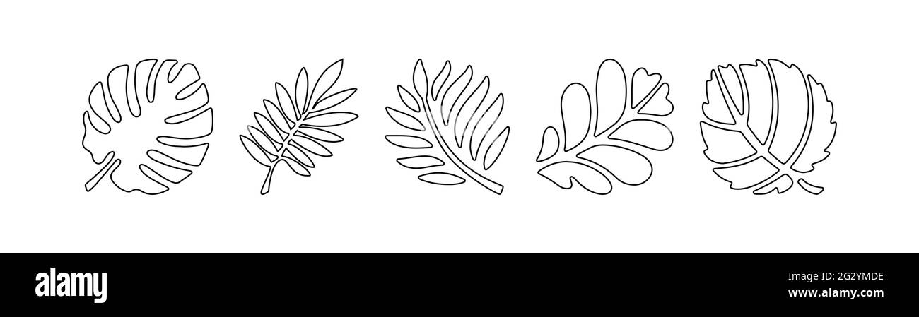 Set of editable plant leaves for scrapbooking, coloring books and creative designs, empty outline. Flat design. Stock Vector