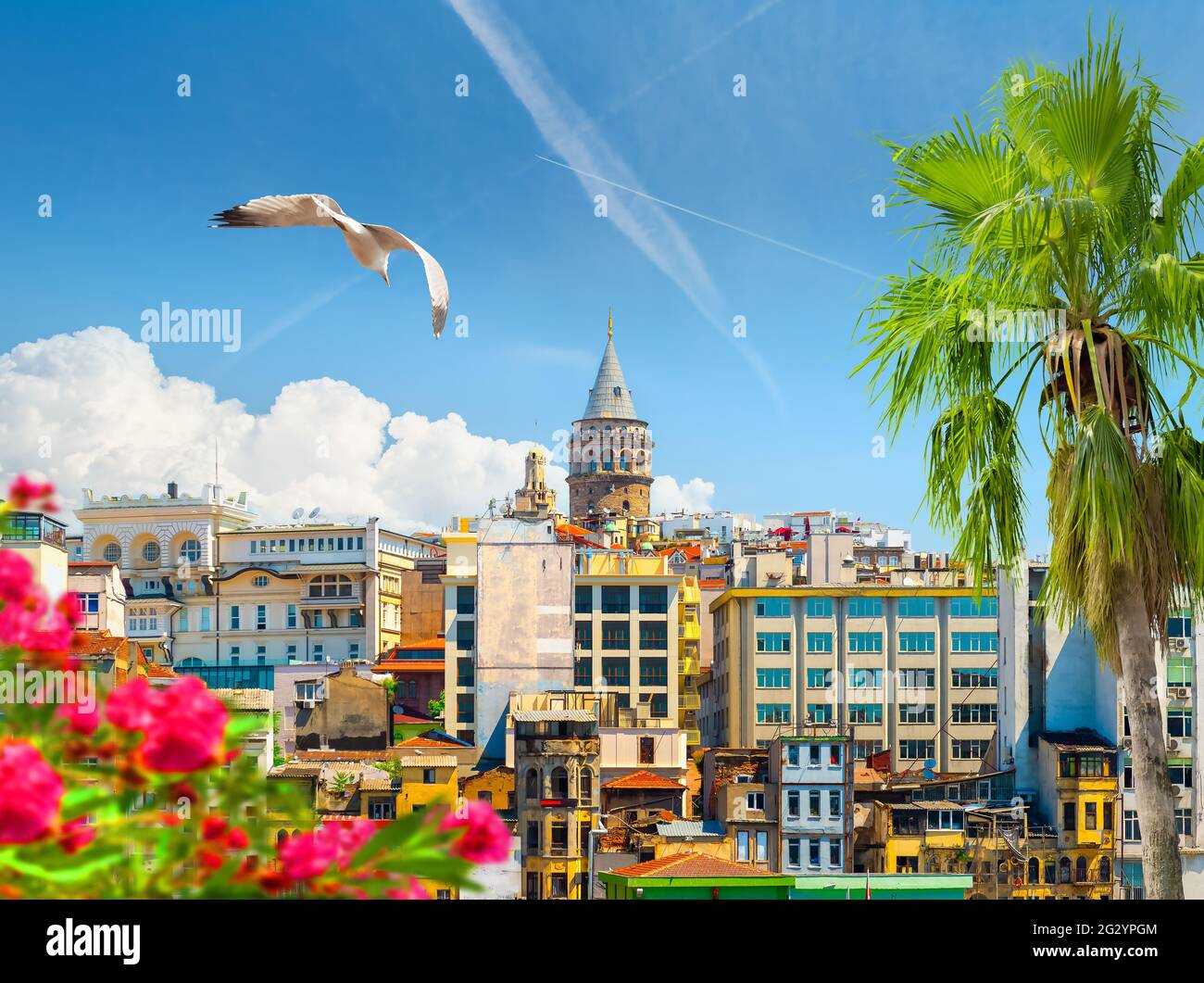 Cityscape of Istanbul with the view on Galata Tower Stock Photo