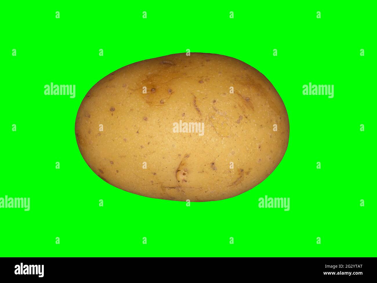 A white potato on a plain green background ready for easy keying Stock Photo