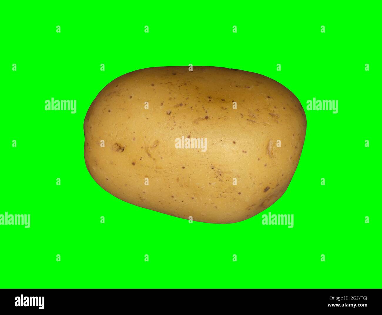 A white potato on a plain green background ready for easy keying Stock Photo