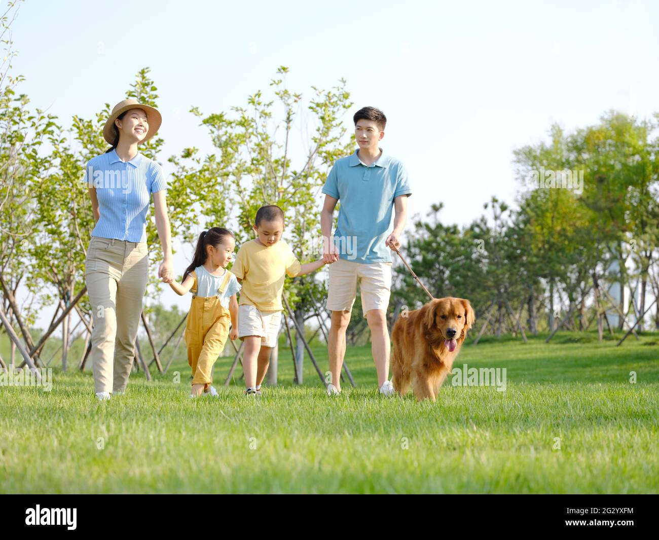 Happy family of four walking dogs in the park high quality photo Stock ...