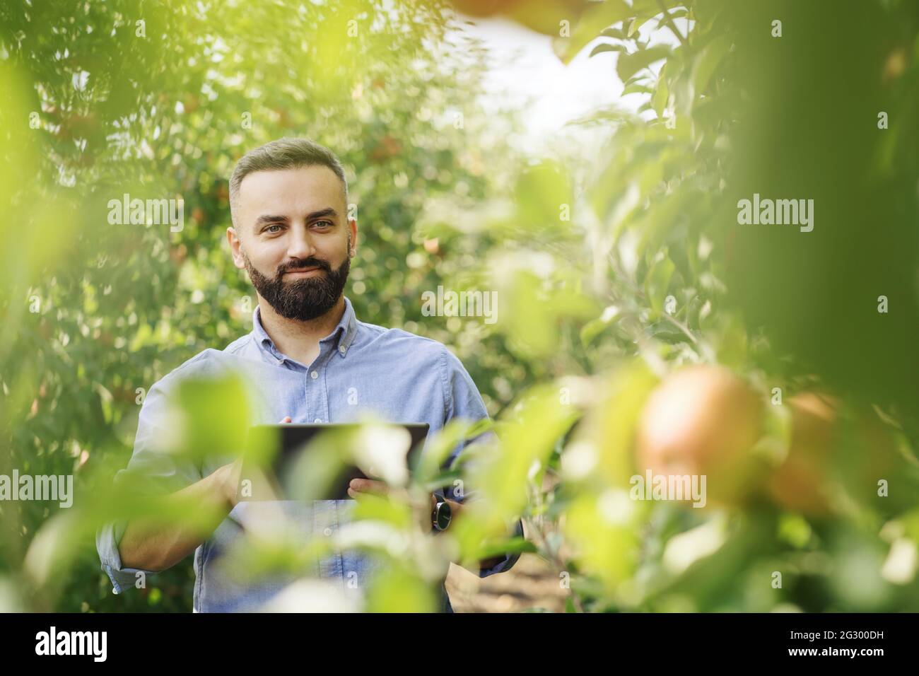 Orchard management, seasonal work and crop control on organic farm Stock Photo