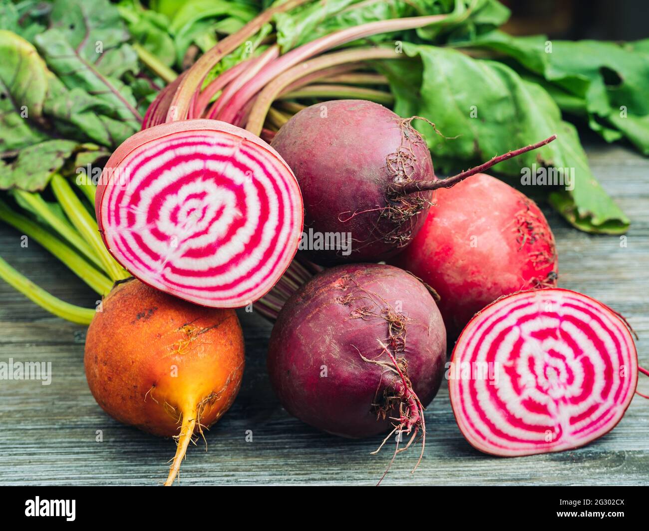 Bunch of fresh organic beet roots on a wooden table. Stock Photo