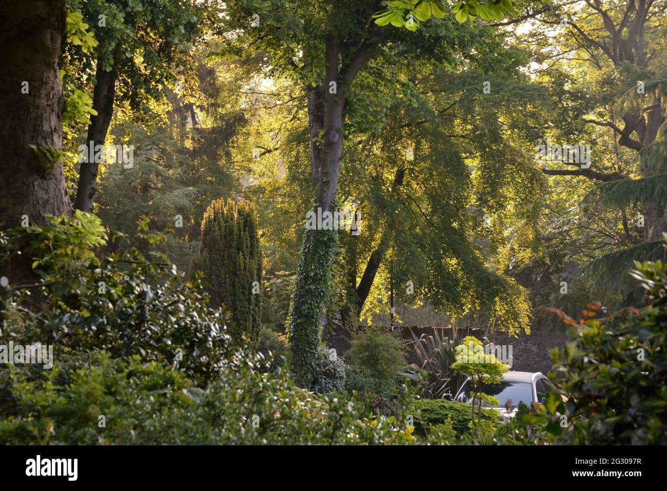 Lush green and gardens at Nether Edge in suburban Sheffield, England Stock Photo