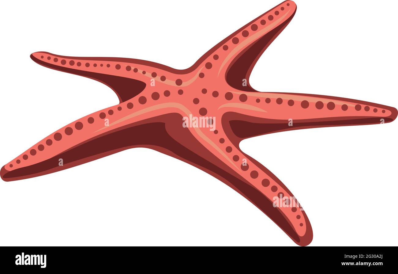 Starfish Isolated on white. Underwater world. Vector illustration Stock ...