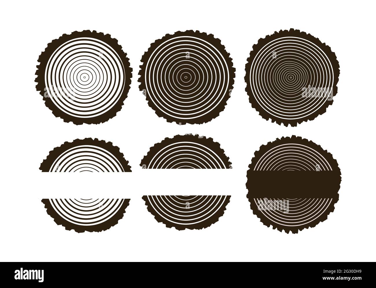 Tree Rings Annual Tree Rings . Saw cut tree trunk Tree growth rings