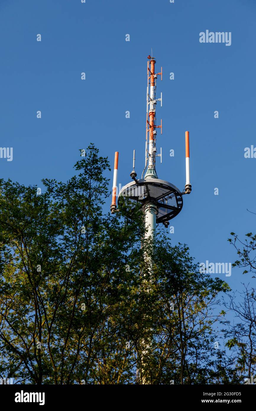 Radio mast in the forest Stock Photo