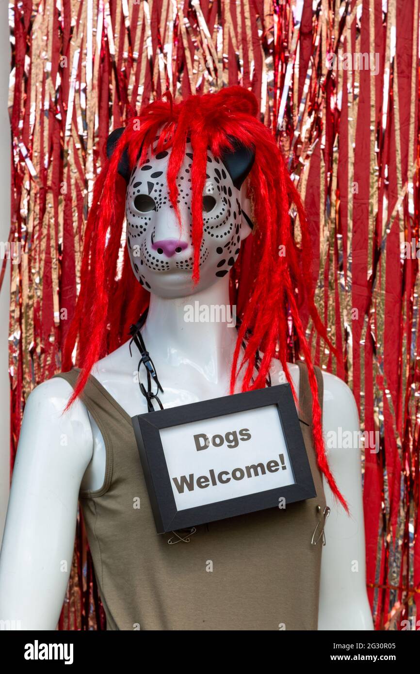 Dummy outside a shop with a sign Dogs Welcome,UK Stock Photo
