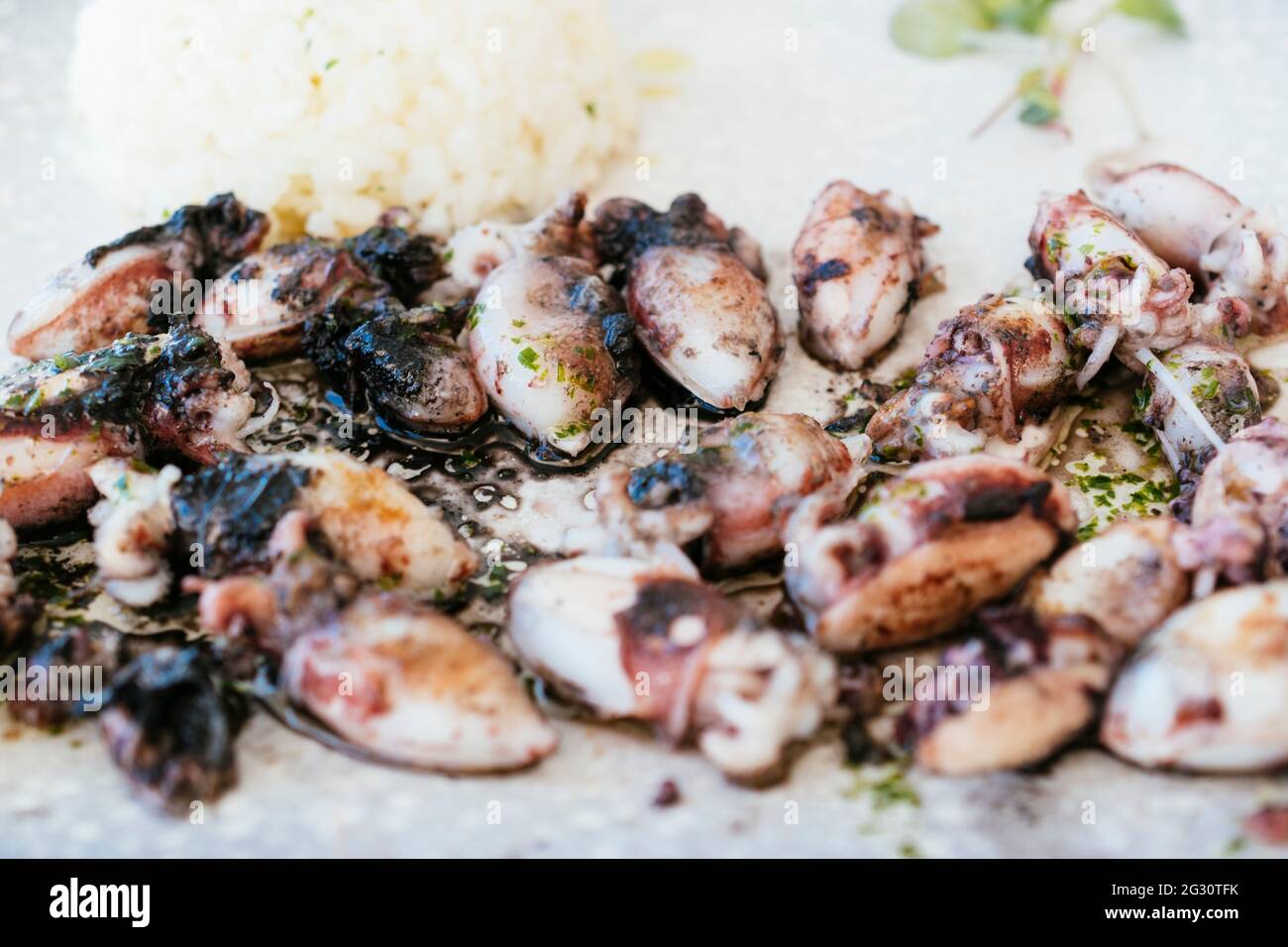 Typical Andalusian food. Chopitos grilled. Choquitos - Chopitos, members of the species Sepia elegans and Sepia orbignyana, are usually small in size. Stock Photo