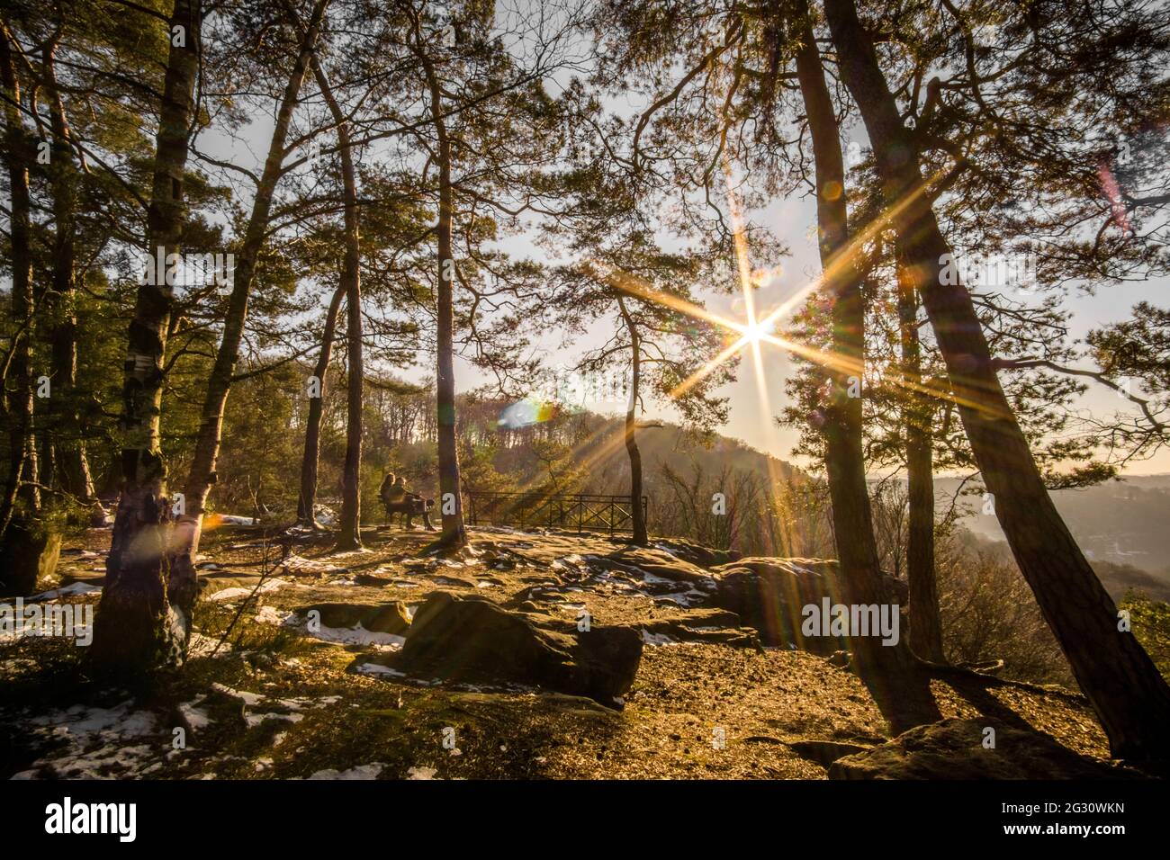 winter landscape in forest with couple sitting on bench at sunset in golden light, Mullerthal, Luxembourg Stock Photo