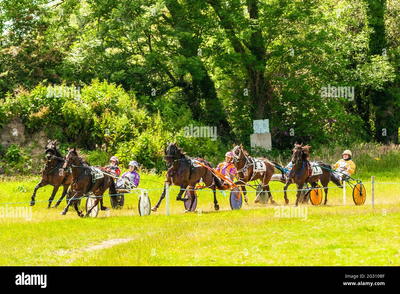 Silky Racer Dunmanway, West Cork, Ireland. 13th June, 2021. There was an 8 race ...