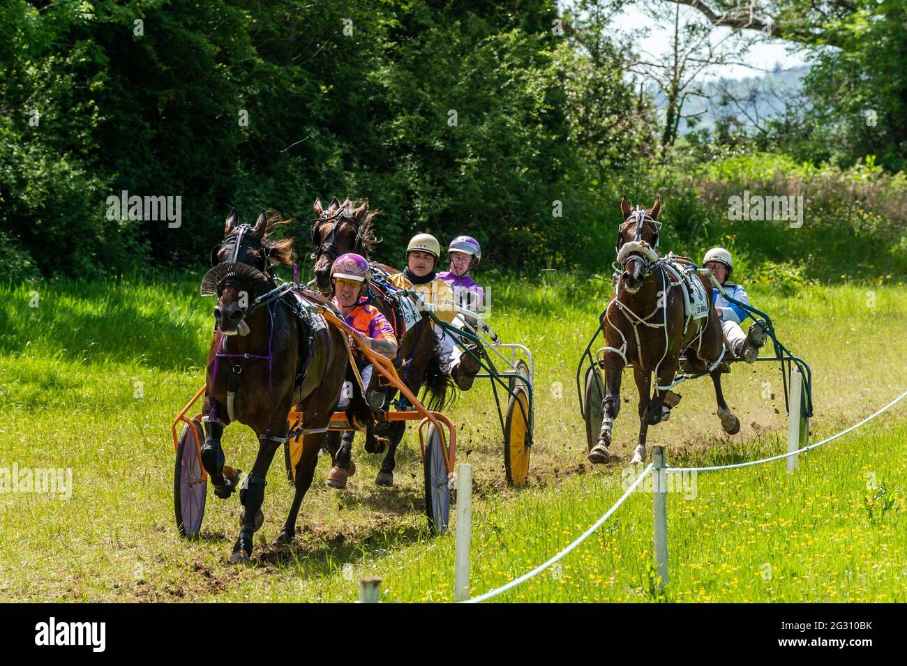 Dunmanway, West Cork, Ireland. 13th June, 2021. There was an 8 race card of  sulky racing at Ballabuidhe Race Track, Dunmanway today, with spectators  taking full advantage of the sunshine on the
