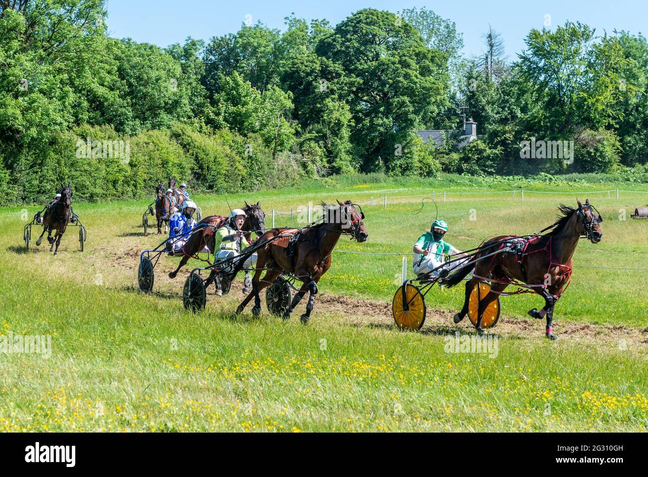 Silky Racer Taking the reins hi-res stock photography and images - Alamy
