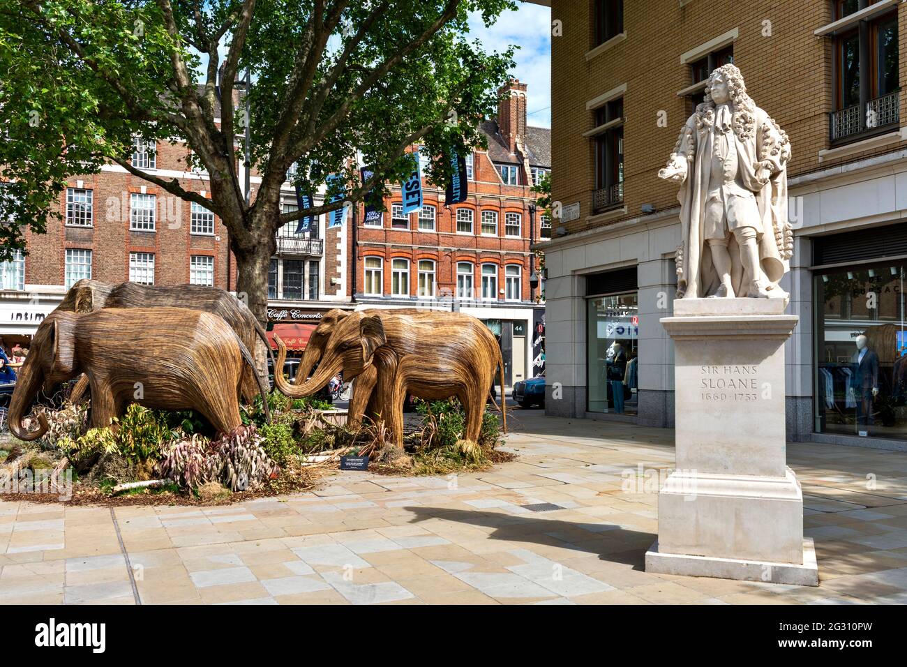 LONDON ENGLAND ELEPHANTS MADE FROM LANTANA CAMARA OR WILD SAGE PLANTS