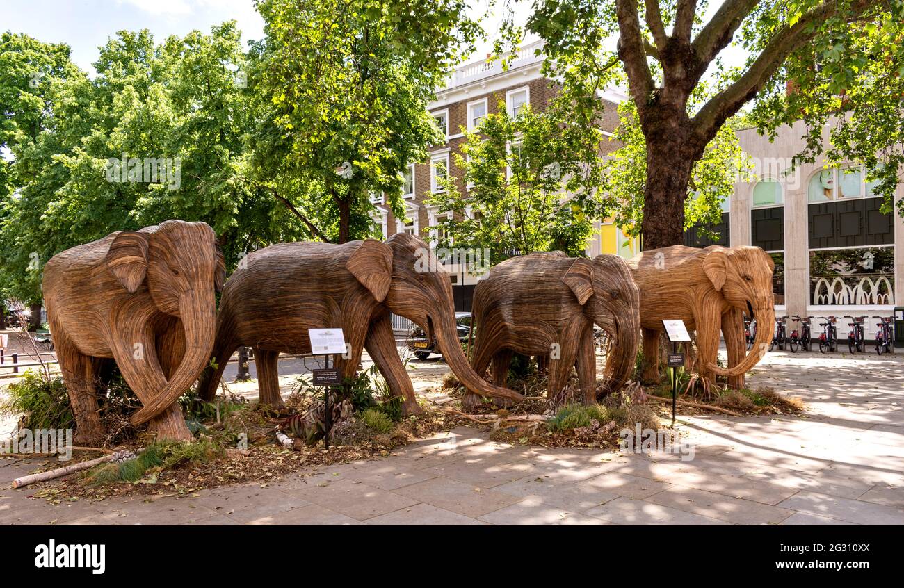 LONDON ENGLAND ELEPHANTS MADE FROM LANTANA CAMARA OR WILD SAGE PLANTS HERD NEAR DUKE OF YORK SQUARE KINGS ROAD Stock Photo