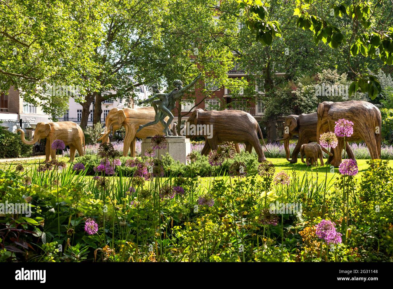 Lantana elephant hires stock photography and images Alamy