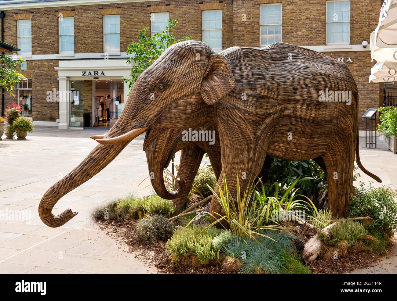 LONDON ENGLAND ELEPHANTS MADE FROM LANTANA CAMARA OR WILD SAGE PLANTS TWO ELEPHANTS OUTSIDE ZARA KINGS ROAD Stock Photo