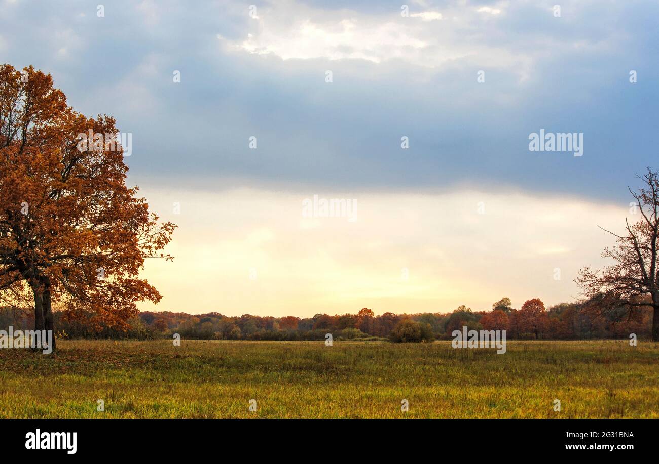 Autumn landscape with trees and clouds Stock Photo - Alamy
