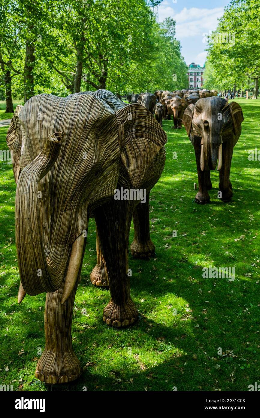 London, UK. 13th June, 2021. The elephant herd heads into Green Park as